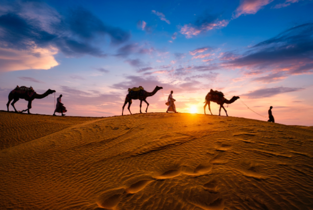 Royal Rajasthan Heritage Tour